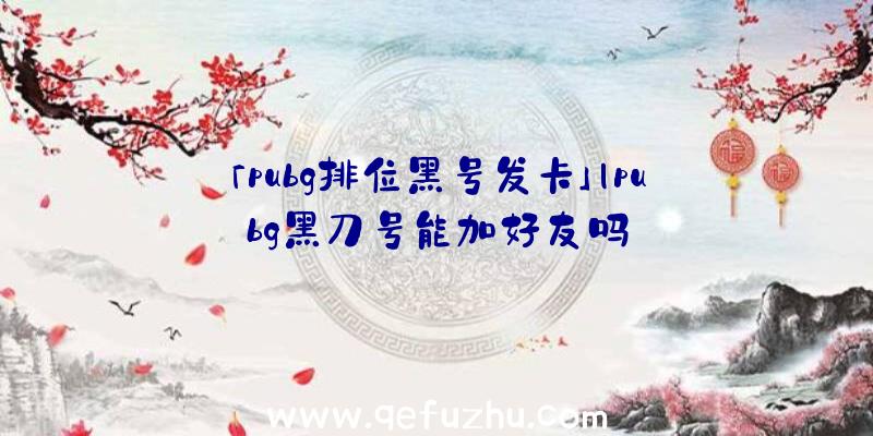 「pubg排位黑号发卡」|pubg黑刀号能加好友吗